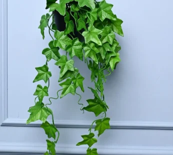 Green Hanging Planter – Cylindrical Shape