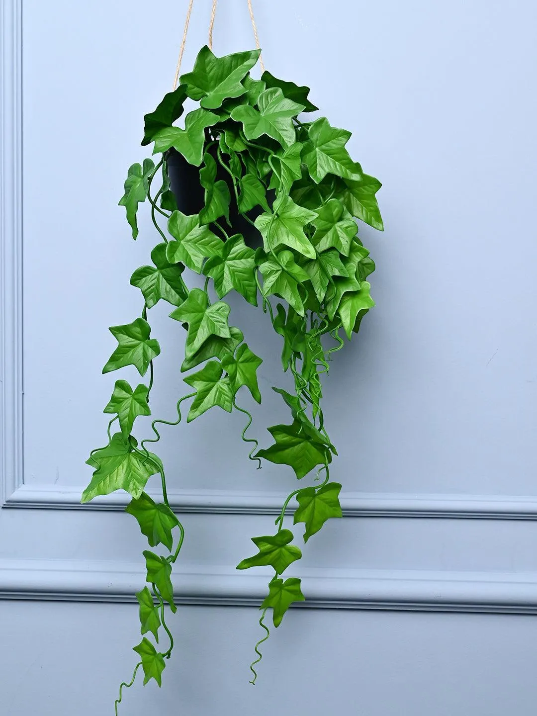 Premium Green Hanging Planter - Cylindrical Shape - Buy Online at Alikart
