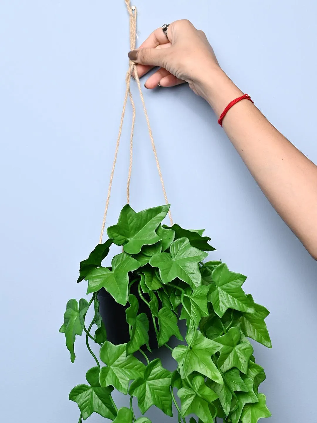 Green Hanging Planter - Cylindrical Shape - Detailed Feature View 2