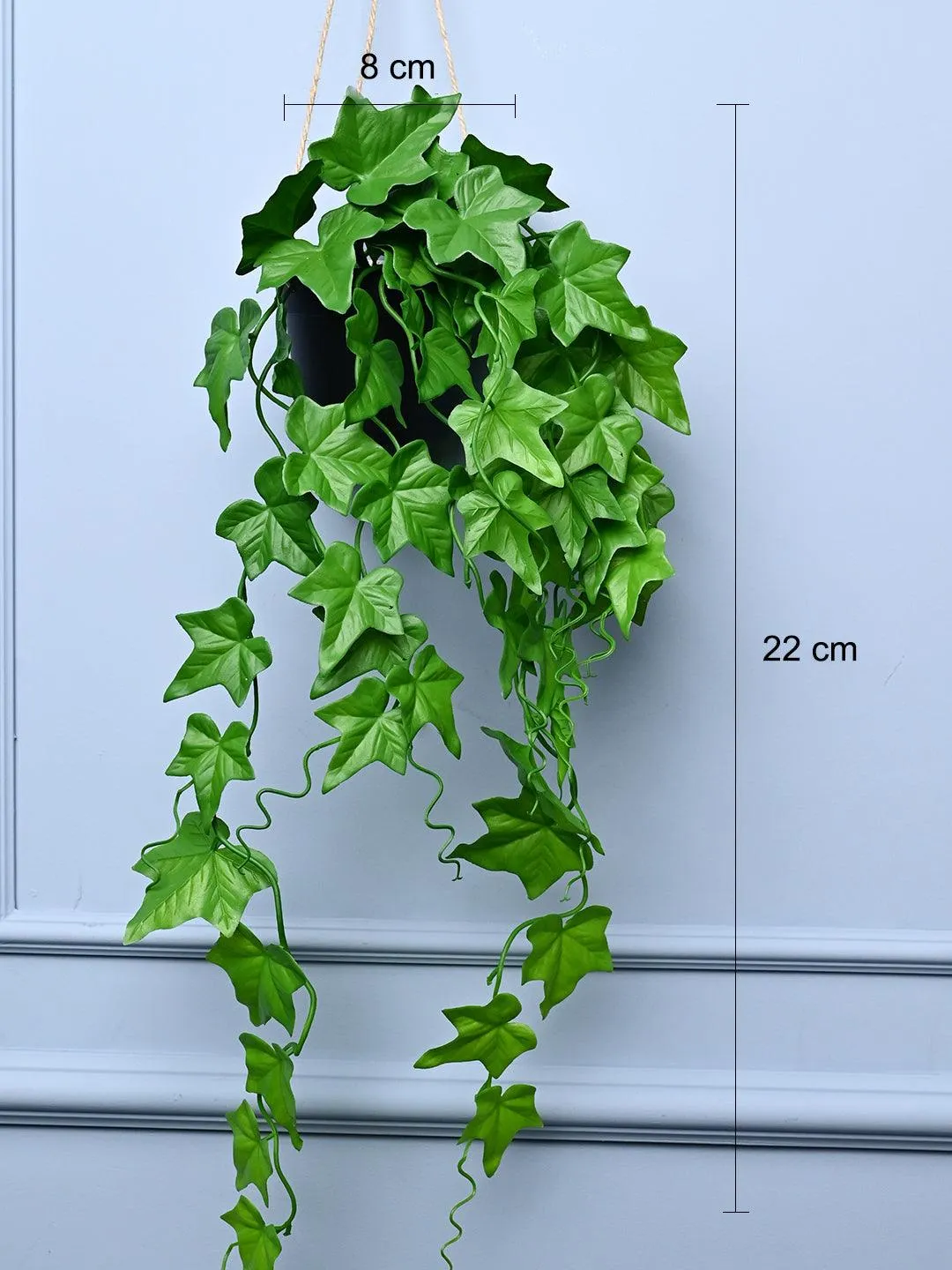 Green Hanging Planter - Cylindrical Shape - Detailed Feature View 3