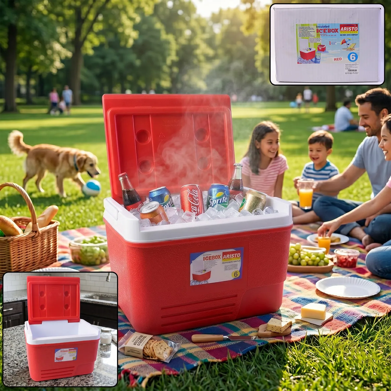 Premium Heavy Duty Ice Box Cooler – 6 Ltr Travel & Outdoor Use - Buy Online at Alikart