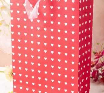 Large Valentine Gift Bag