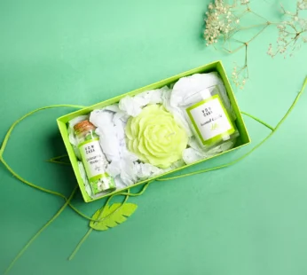 Lily Fragrance Candle Gift Set