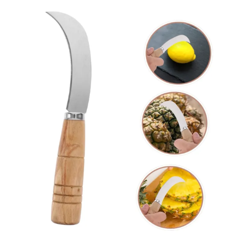 Premium Stainless Steel Curved Vegetable & Fruit Knife – Sharp Cutting Blade with Comfortable Wooden Handle for Kitchen Use - Buy Online at Alikart