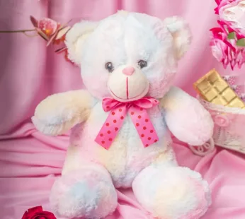 Rainbow Teddy Bear Valentine Gift