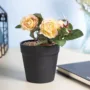 Premium Realistic Artificial Bonsai Fake Rose Flower Plant Pot - Buy Online at Alikart