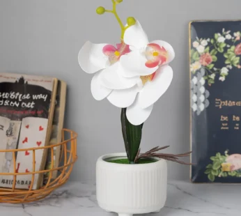 Stylish White Artificial Flowers With Pot – 10 X 10 X 34Cm