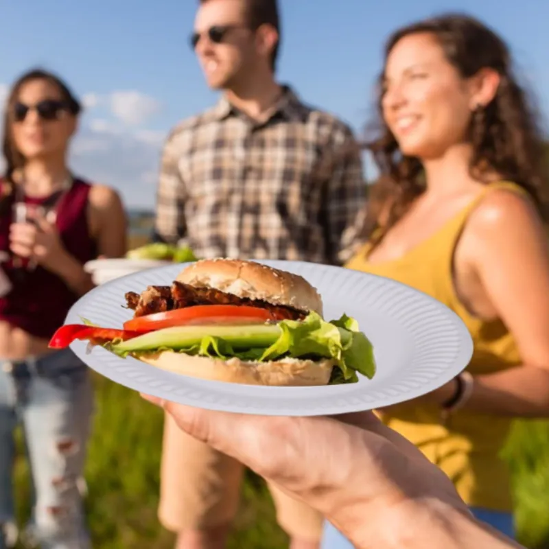 8 Pcs Disposable Plates – Lightweight & Convenient Party Tableware for Snacks, Meals & Events - Detailed Feature View 1