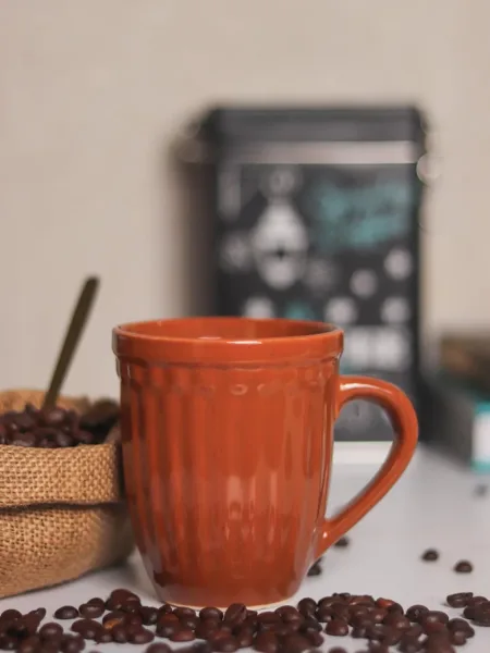 VON CASA Ceramic Coffee & Tea Mug – 300 Ml, Brown