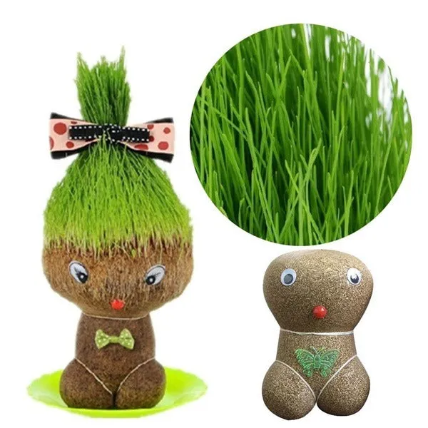 Premium Mini Grass Head Doll Planter, Growing Grass Head Doll, Mini Bonsai Grass, Head Plants Potted Craft DIY Educational Gifts - Buy Online at Alikart