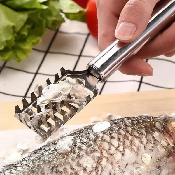 Stainless Steel Fish Scale Scraper – Durable Manual Fish Scaler Tool for Easy & Mess-Free Descaling