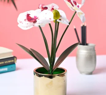 White Artificial Orchid Flower With Golden Pot