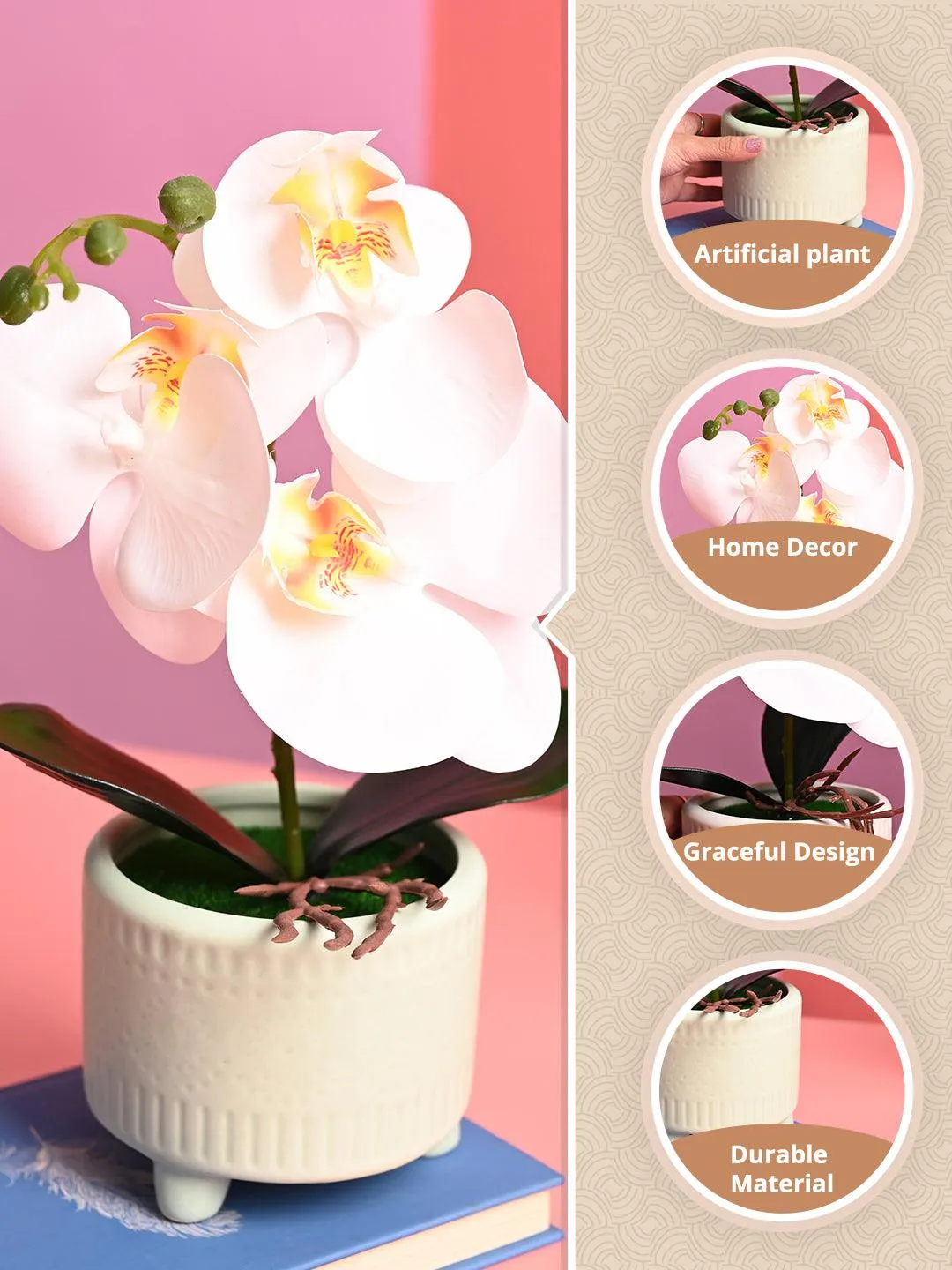 White Orchid Flowers With Green Pot - Indoor Office Plants - Detailed Feature View 1