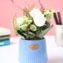Premium White Rose Flower With Blue Pot - Buy Online at Alikart