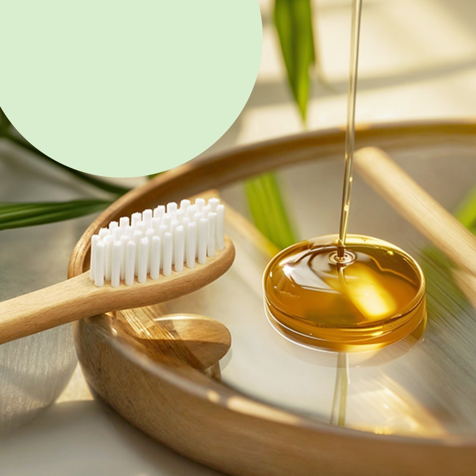 Bamboo Toothbrush Set – Eco-Friendly Medium Bristles (2 Pack) - Detailed Feature View 2