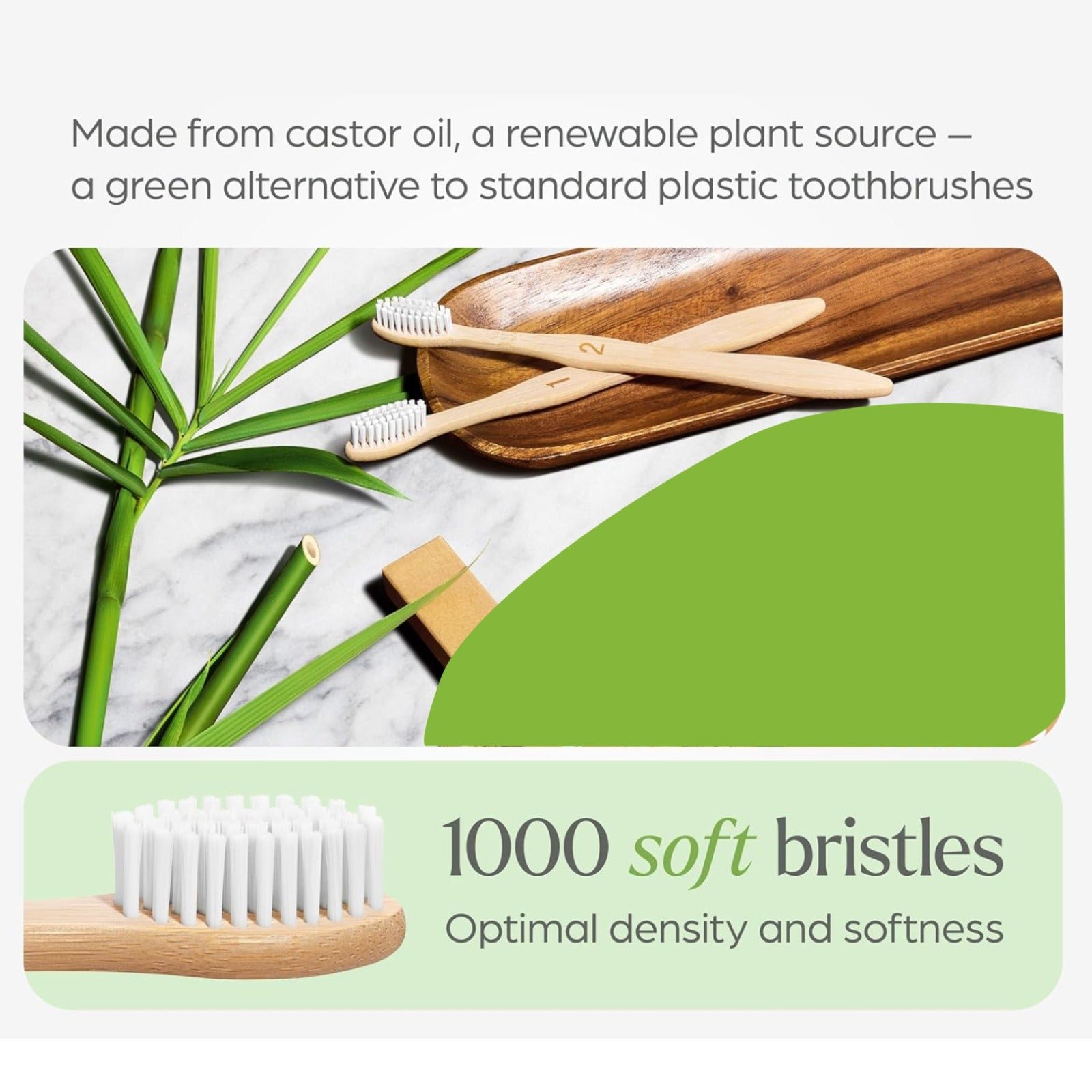 Bamboo Toothbrush Set – Eco-Friendly Medium Bristles (2 Pack) - Detailed Feature View 3