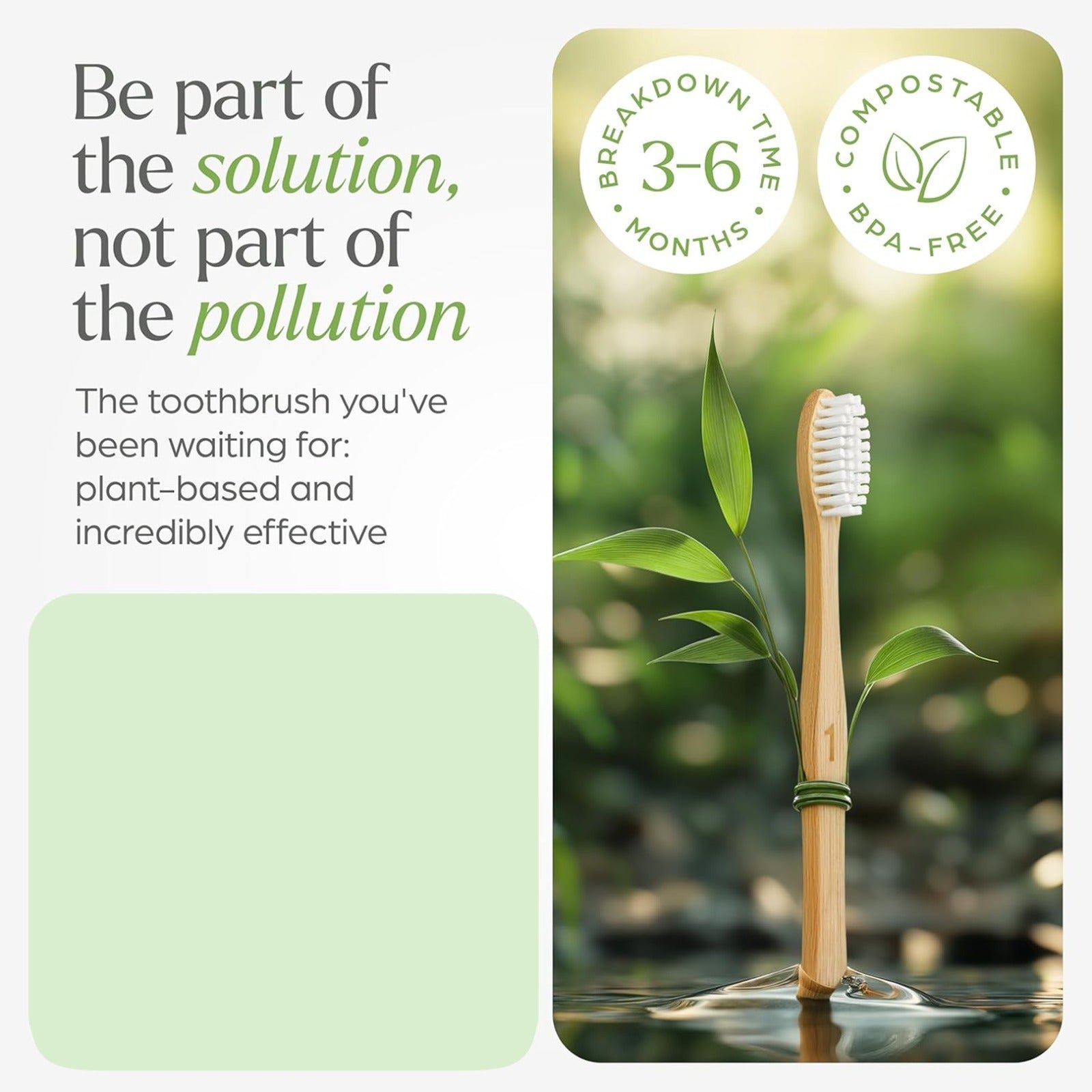 Bamboo Toothbrush Set – Eco-Friendly Medium Bristles (2 Pack) - Detailed Feature View 4