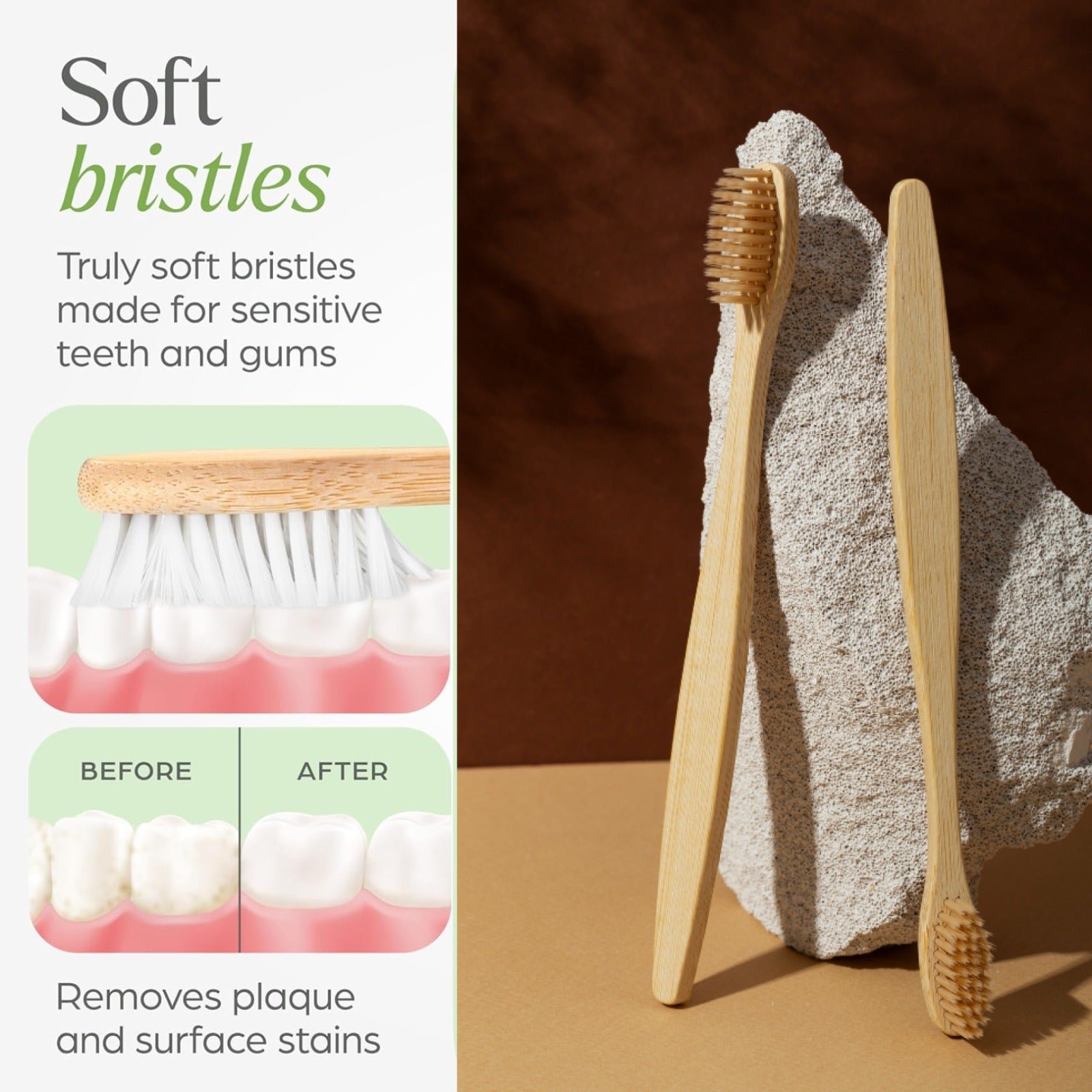 Bamboo Toothbrush Set – Eco-Friendly Medium Bristles (2 Pack) - Detailed Feature View 5