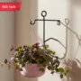Premium Hanging Man Wall-Mounted Flower Pot Stand – Creative Indoor Outdoor Plant Holder - Buy Online at Alikart