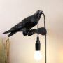 Premium Crow Table Lamp – Vintage Edison Bulb Decor | Tidy Table - Buy Online at Alikart