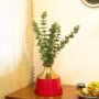 Premium Decorative Enamel Vase - Golden & Red - Buy Online at Alikart