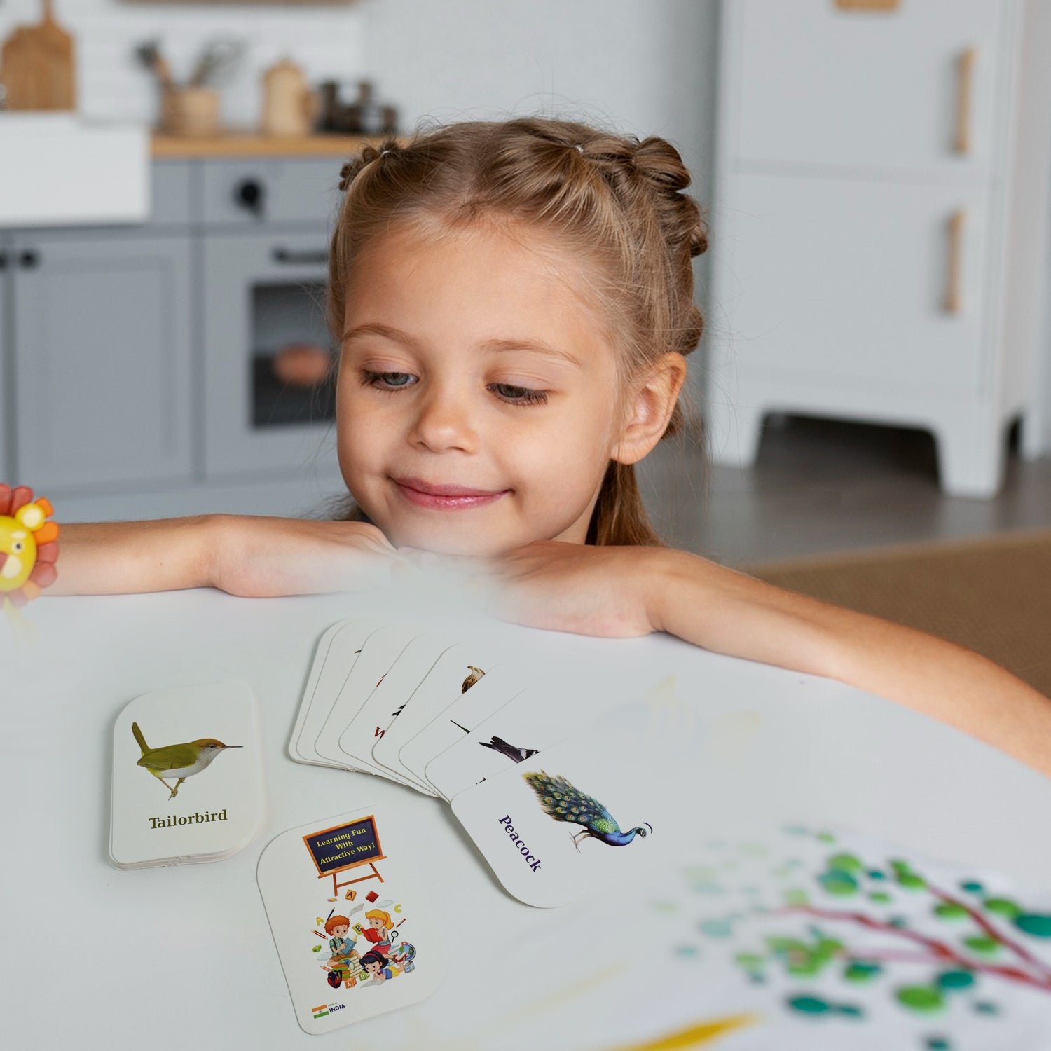 Early Learner Flashcard Set – 224 Durable Educational Cards - Detailed Feature View 5