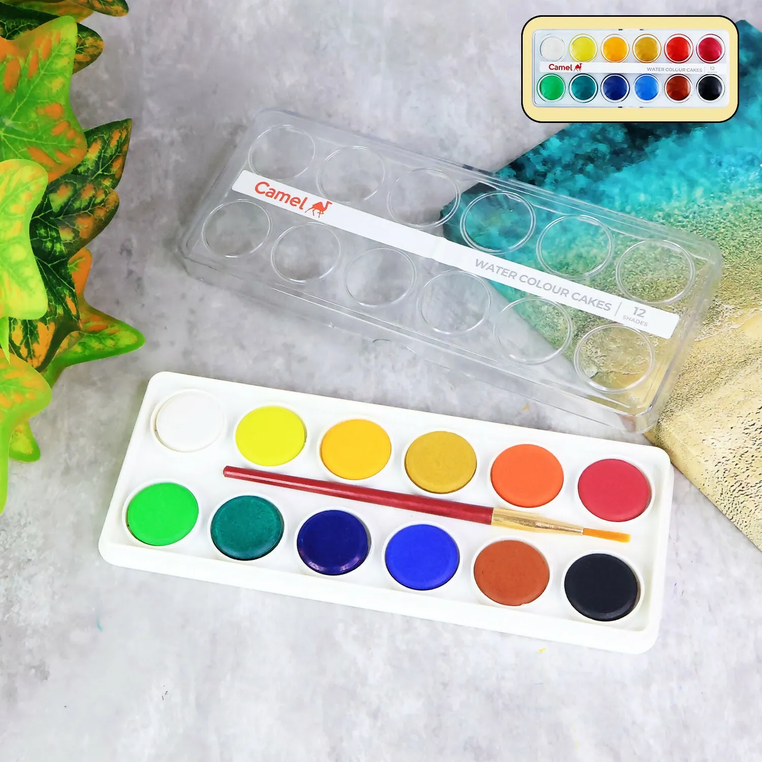 Premium Water Colour Cakes Set – 12 Vibrant Camel Shades with Free Brush - Buy Online at Alikart