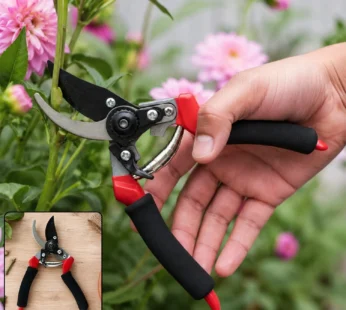 Garden Shear Stainless Steel 21 Cm Sharp Bypass Pruner for Plants (1 Pc)