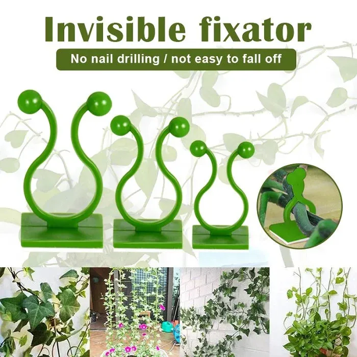 30Pcs Vine Plant Climbing Clips – Large Invisible Wall Hooks for Plant Support & Binding