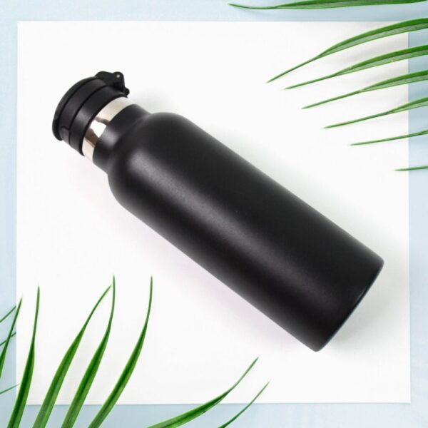 Kids Water Bottle – 650ml Insulated Stainless Steel | Own Hydrate