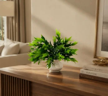 Premium Décor for Home, Bedroom, Cafés & Showrooms, Gift for Every Celebration