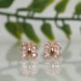 Premium Rose Gold Butterfly Stud Earrings – Sparkling Elegant Design - Buy Online at Alikart
