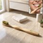 Premium Soft Bristle Bamboo Toothbrush, Eco-Friendly Wooden Toothbrush with Green Bristles (1 Pc) - Buy Online at Alikart