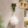 Premium Adhesive Cartoon Kitchen Wall Hooks - Cute Utility Hangers for Utensils and Towels (2 Pack) - Buy Online at Alikart