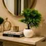 Premium Artificial Bonsai Tree Plant with White Ceramic Pot for Home Office Table Decor - Buy Online at Alikart
