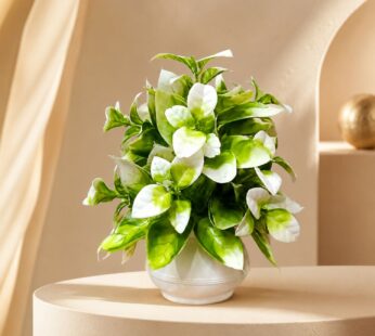Artificial Flower Plant with White Blooms for Home Decor & Premium Table Styling