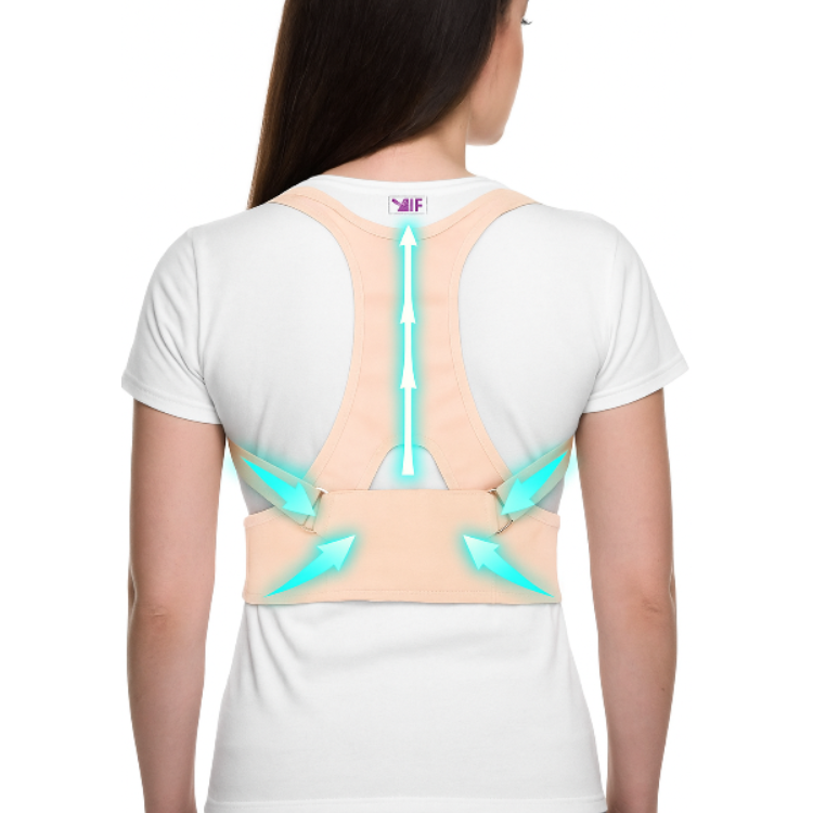 Premium Back Support Posture Corrector Belt (XL Size) – Adjustable & Comfortable - Buy Online at Alikart