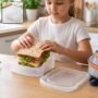 Premium Compact Plastic Sandwich Lunch Box with Secure Lid for School and Travel - 1 Piece - Buy Online at Alikart