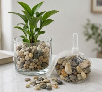 Decorative River Pebbles – Versatile Natural Stones for Indoor & Outdoor