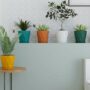 Premium Diamond Flower Pots Set of 5 – Stylish Geometric Design with Saucers - Buy Online at Alikart