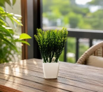 Elegant Décor for Home, Bedroom, Office & Hotels, Perfect Gift All Celebrations