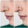 Premium Exquisite Gold-Plated Ruby Floral Clip-On Nose Ring Combo Set - Buy Online at Alikart