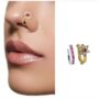 Premium Exquisite Ruby Floral Gold-Tone Nose Ring Set – Pack of 2 - Buy Online at Alikart
