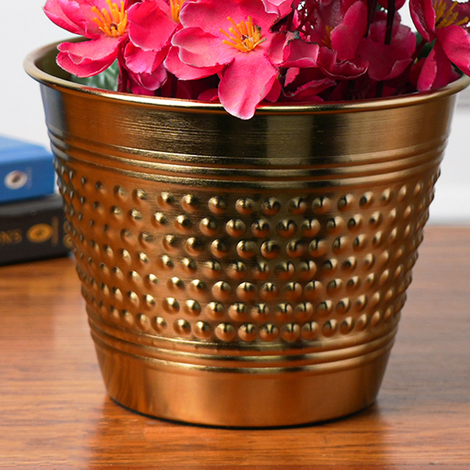 Golden Iron Dotted Embossed Planter - Detailed Feature View 2