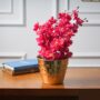 Premium Golden Iron Polka Embossed Planter - Buy Online at Alikart