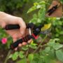 Premium Heavy Duty Bypass Garden Pruning Shears with Soft Grip Handle for Plants (1 Pc) - Buy Online at Alikart
