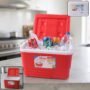 Premium Heavy Duty Insulated Ice Box – 3 Litre Portable Cooler for Outdoor Use - Buy Online at Alikart
