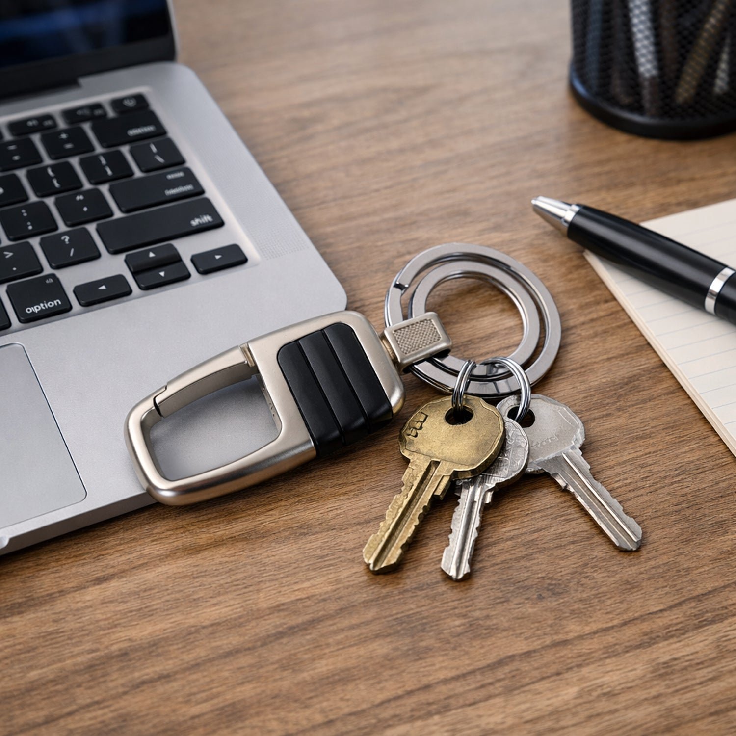 Key Holder – Heavy Duty Metal Carabiner with Secure Ring - Detailed Feature View 2