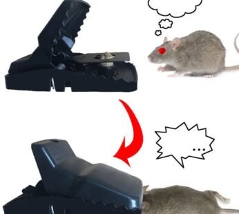 Mouse Trap Cage – Reusable Pest Control for Home