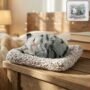 Premium Plush Cat Dashboard Showpiece – Soft Closed-Eye Design - Buy Online at Alikart
